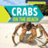 Crabs on the Beach (Critters By the Sea)