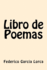 Libro de Poemas