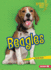 Beagles (Lightning Bolt Books ? Who's a Good Dog? )