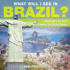 What Will I See in Brazil? Geography for Kids Children's Explore the World Books