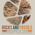 Rocks and Fossils: Records of Time | Fossil Guide Book Grade 5 | Children's Earth Sciences Books