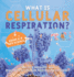 What is Cellular Respiration? Process, Products and Reactants of Cellular Respiration Explained Grade 6-8 Life Science