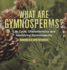 What Are Gymnosperms? Life Cycle, Characteristics and Identifying Gymnosperms | Grade 6-8 Life Science