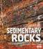 Sedimentary Rocks (Fact Finders: Rocks)