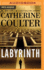 Labyrinth (an Fbi Thriller)