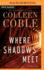 Where Shadows Meet (Compact Disc)