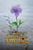 The Law of Continuous Nurturing