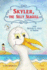 Skyler, the Silly Seagull: Featuring Skyler C. Gull & Friends