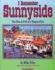 I Remember Sunnyside: the Rise and Fall of a Magical Era