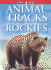 Animal Tracks of the Rockies