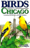 Birds of Chicago