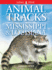 Animal Tracks of Mississippi & Louisiana (Animal Tracks Guides)