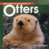 Welcome to the World of Otters (Welcome to the World Series)