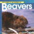 Welcome to the World of Beavers (Welcome to the World Series)