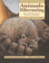 Animals Hibernating: How Animals Survive Extreme Conditions