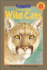 Looking at Wild Cats