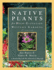 Native Plants for High-Elevation Western Gardens