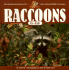 Raccoons for Kids