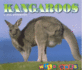 Kangaroos