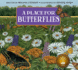 A Place for Butterflies (a Place for..., 1)