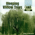 Weeping Willow Trees