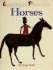 Horses (Looking at Paintings)