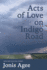 Acts of Love on Indigo Road: New and Selected Stories