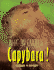 What on Earth is a Capybara?