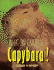 Capybara