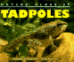 Nature Close-Up-Tadpoles