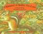 Chipmunk at Hollow Tree Lane (Miniature Edition) (Smithsonian's Backyard Series)