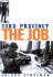 23rd Precinct: the Job