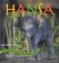 Hansa: the True Story of an Asian Elephant Baby