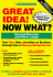 Great Idea! Now What? : How to Turn Your Idea, Invention Or Business Concept Into a...