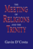 The Meeting of Religions and the Trinity (Faith Meets Faith Series)