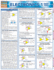 Electronics 1 Part 2 (Quickstudy Reference Guides-Academic)