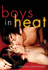 Boys in Heat: Gay Erotic Stories