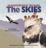 The Skies (Vanishing From)