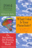 What Color is Your Parachute? 2004: a Practical Guide for Job-Hunting and Career Changes
