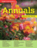Home Gardeners Annuals: the Complete Guide to Growing 37 Flowers in Your Backyard (Specialist Guide)