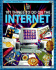 101 Things to Do on the Internet (Usborne Computer Guides)