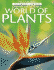 World of Plants