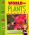 World of Plants