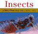 Insects: a Golden Photo Guide From St. Martin's Press