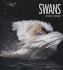 Swans