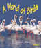 A World of Birds