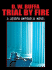 Trial By Fire: a Joseph Antonelli Novel