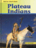 Plateau Indians (Native Americans)
