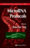 Microrna Protocols (Methods in Molecular Biology)