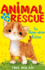 The Home-Alone Kitten (Animal Rescue Center)